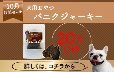 ビーフジャーキー