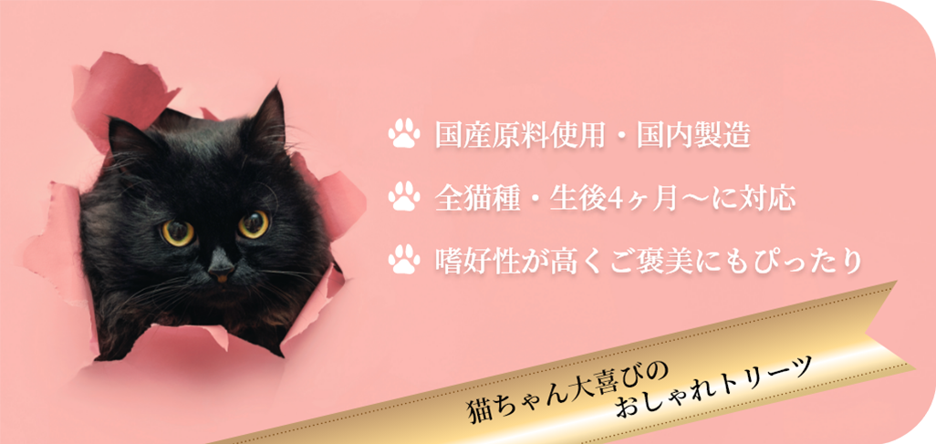 CAT Treat - eatDELI（イート・デリ） - ヒューマングレードの